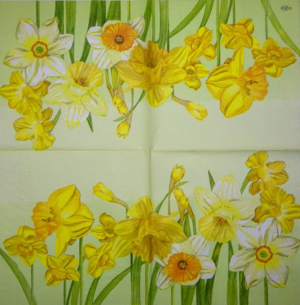 108 Daffodils - 3 ply - Home Fashion